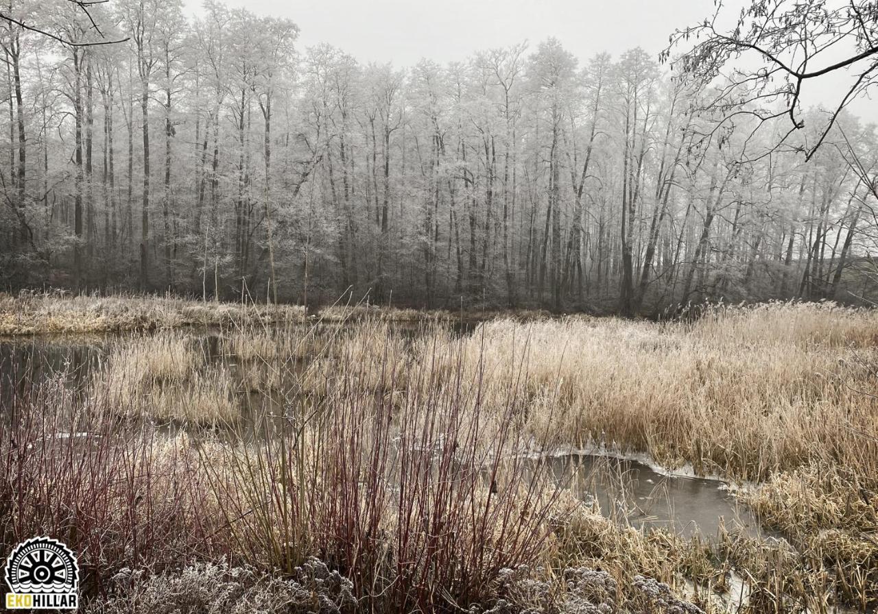 Mlyn Wodny Eko Hillar Villa Rybno  Buitenkant foto