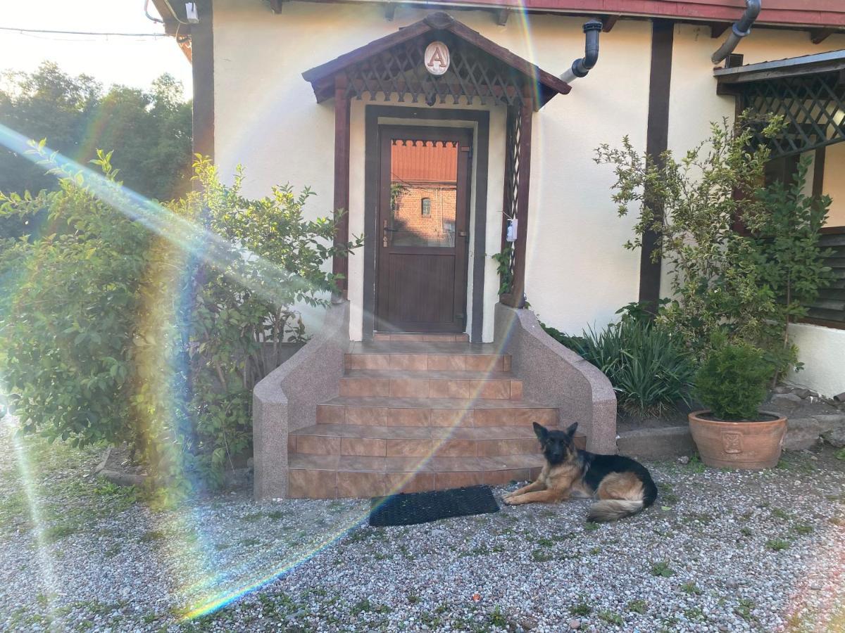 Mlyn Wodny Eko Hillar Villa Rybno  Buitenkant foto