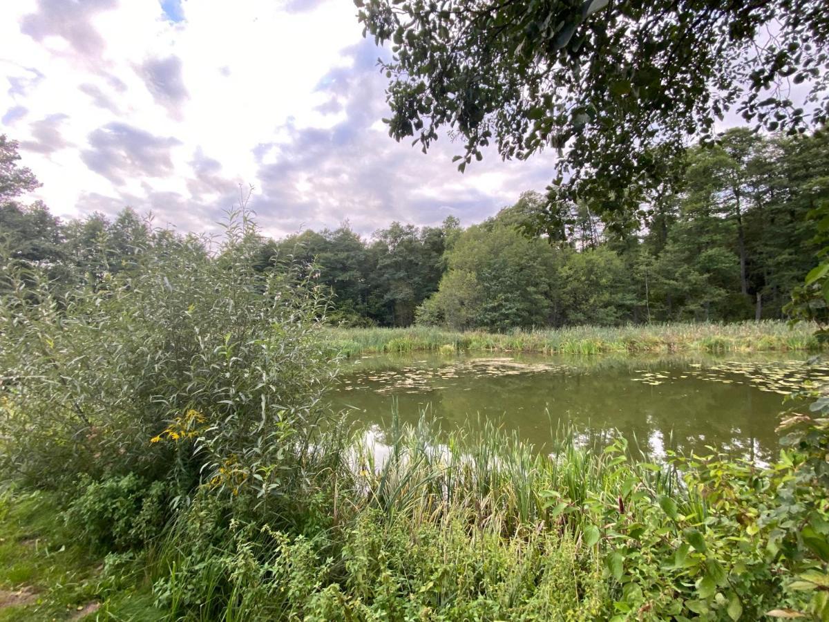 Mlyn Wodny Eko Hillar Villa Rybno  Buitenkant foto