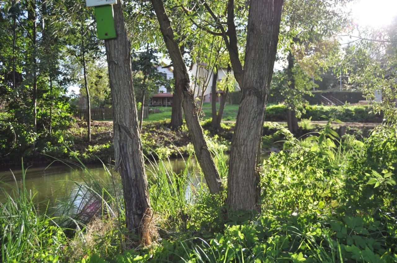 Mlyn Wodny Eko Hillar Villa Rybno  Buitenkant foto